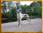 Fantasia von Schlesien