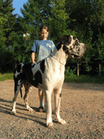 Pavlov von Schlesien